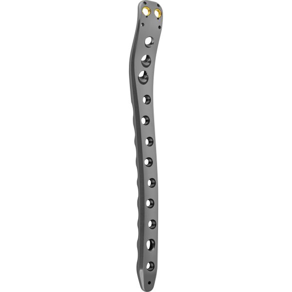 5.0 Neck of femur locking plate (Variable angle)